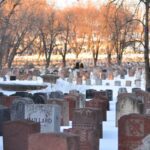 cemetery with trees under white sky