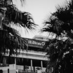 trees near Hilton building during day