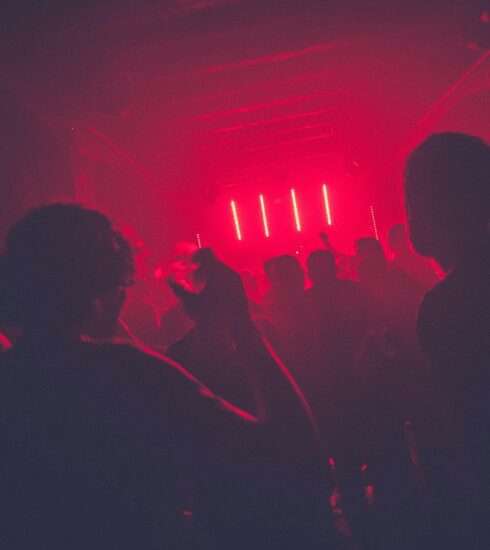 people partying inside room