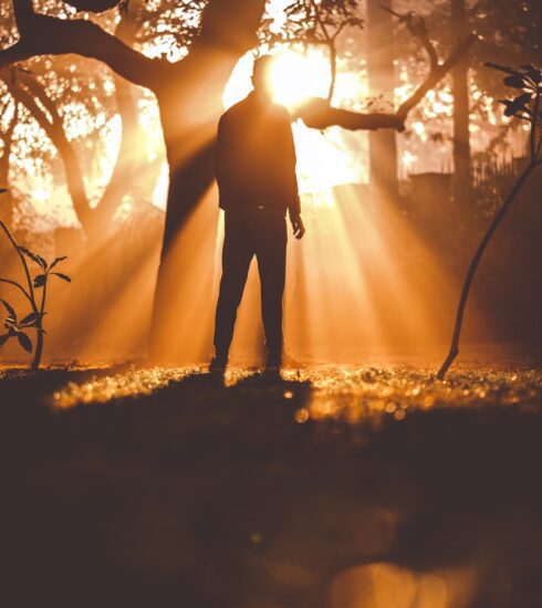 man standing near tree